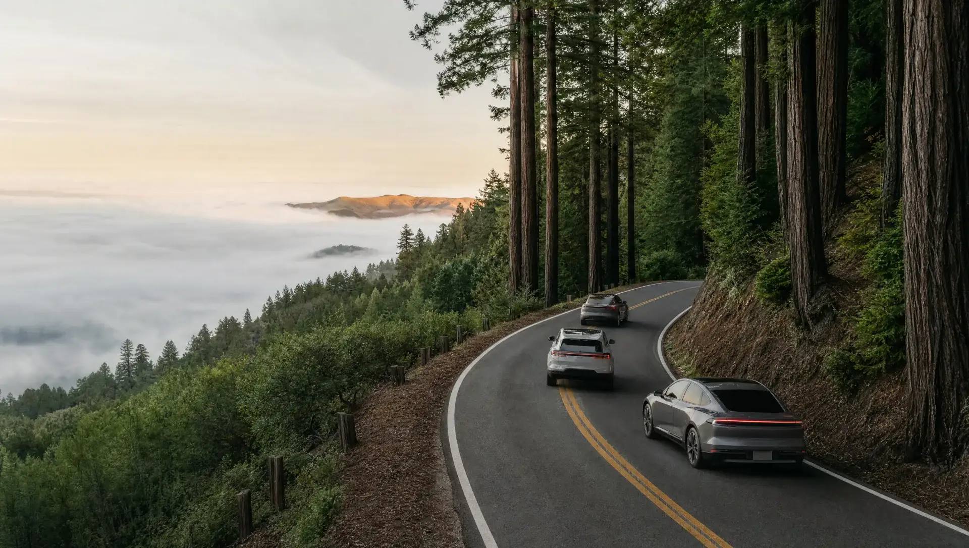 Three electric vehicles driving through Northern California redwoods above the fog